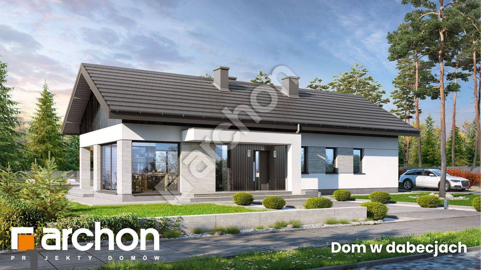 Dom w dabecjach — parterówka, który łączy wygodę i nowoczesny styl