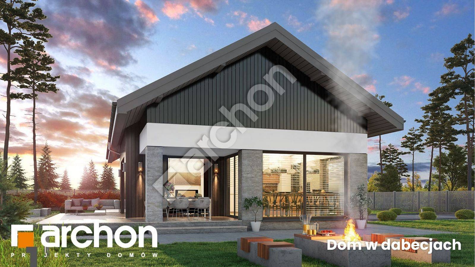 Dom w dabecjach_ogród.jpg